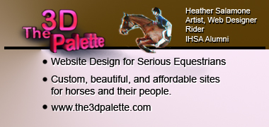 The 3D Palette website